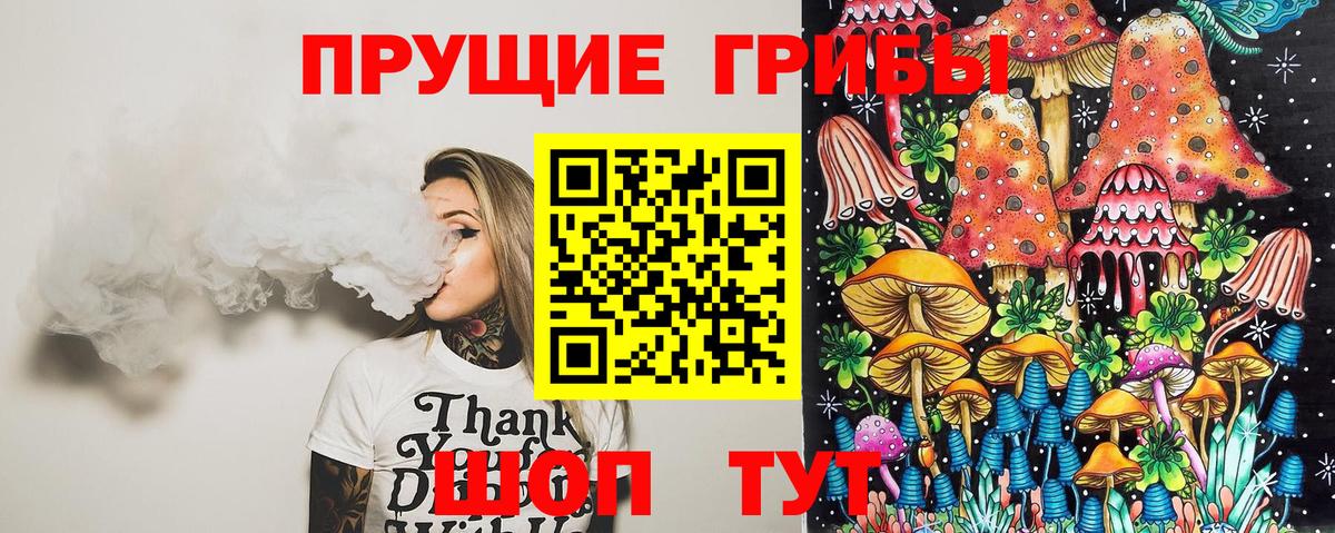Галлюциногенные грибы Psilocybe  Вход с VPN  Солнечногорск  Псилоцибиновые грибы Psilocybe 